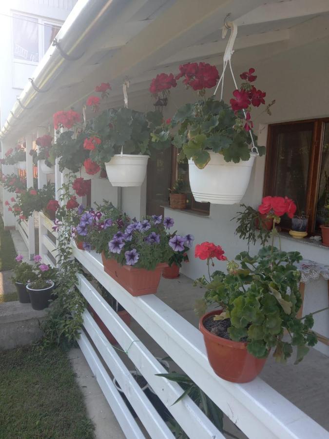 Cazare Turism Prislop Hotel Hateg Exterior photo